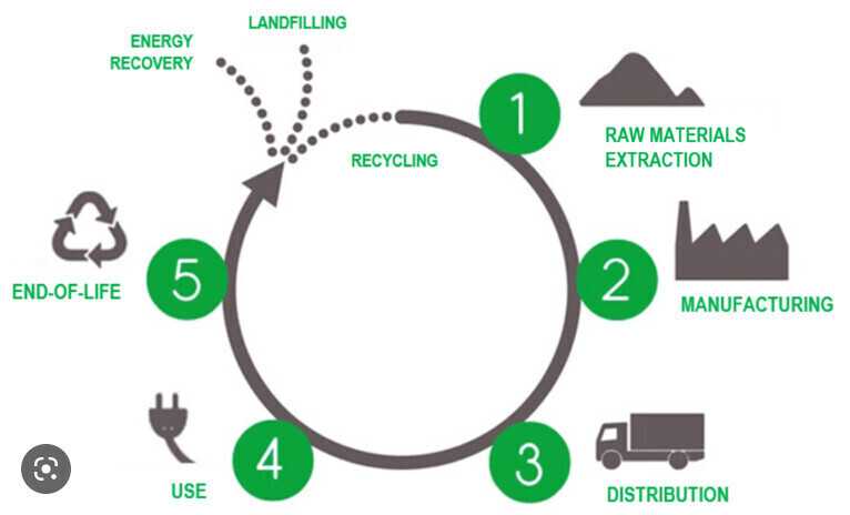 lifecycle2